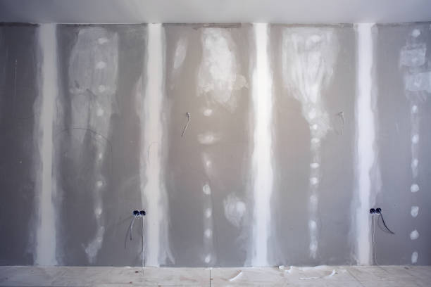 Best Fire-Damaged Drywall Repair  in Prices Fork, VA